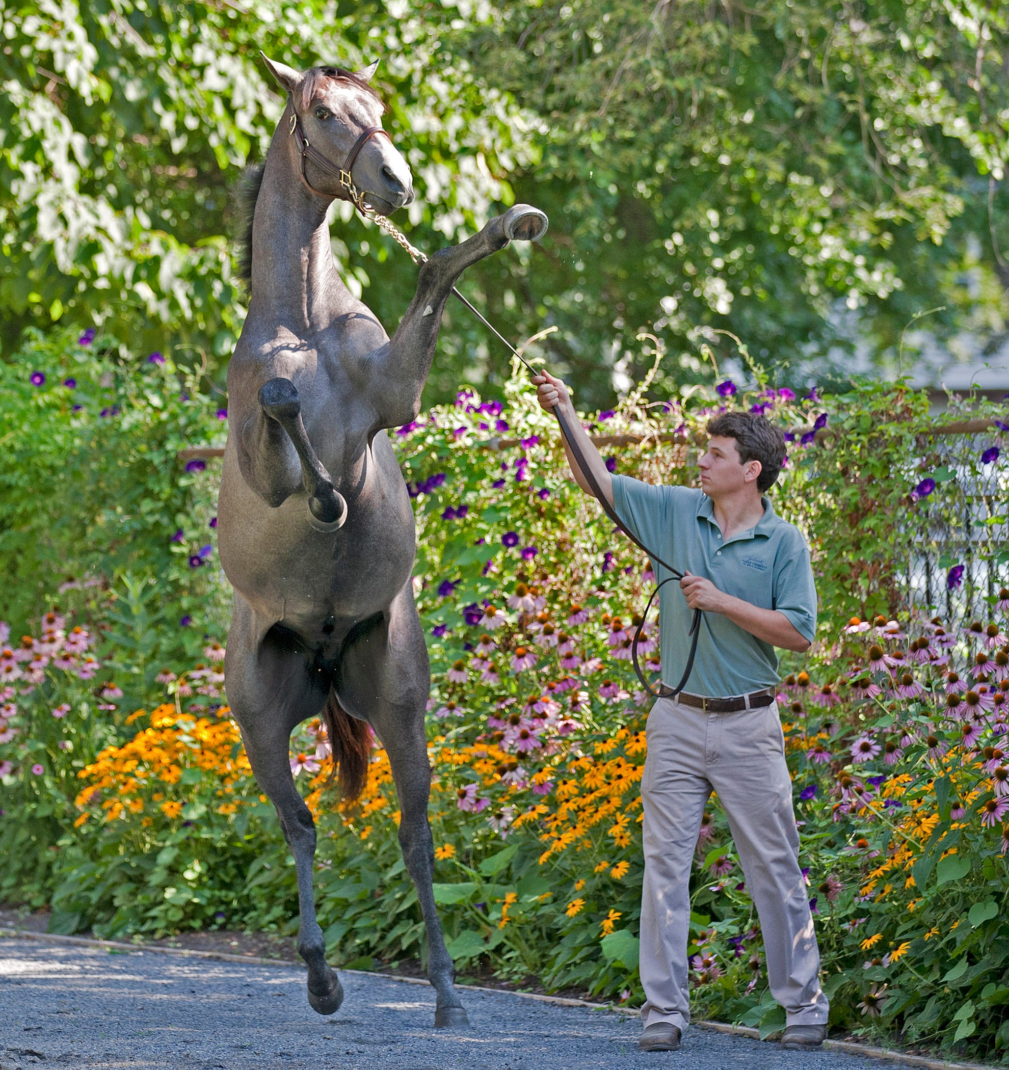 Smaller catalog could boost FasigTipton's Saratoga select yearling sale